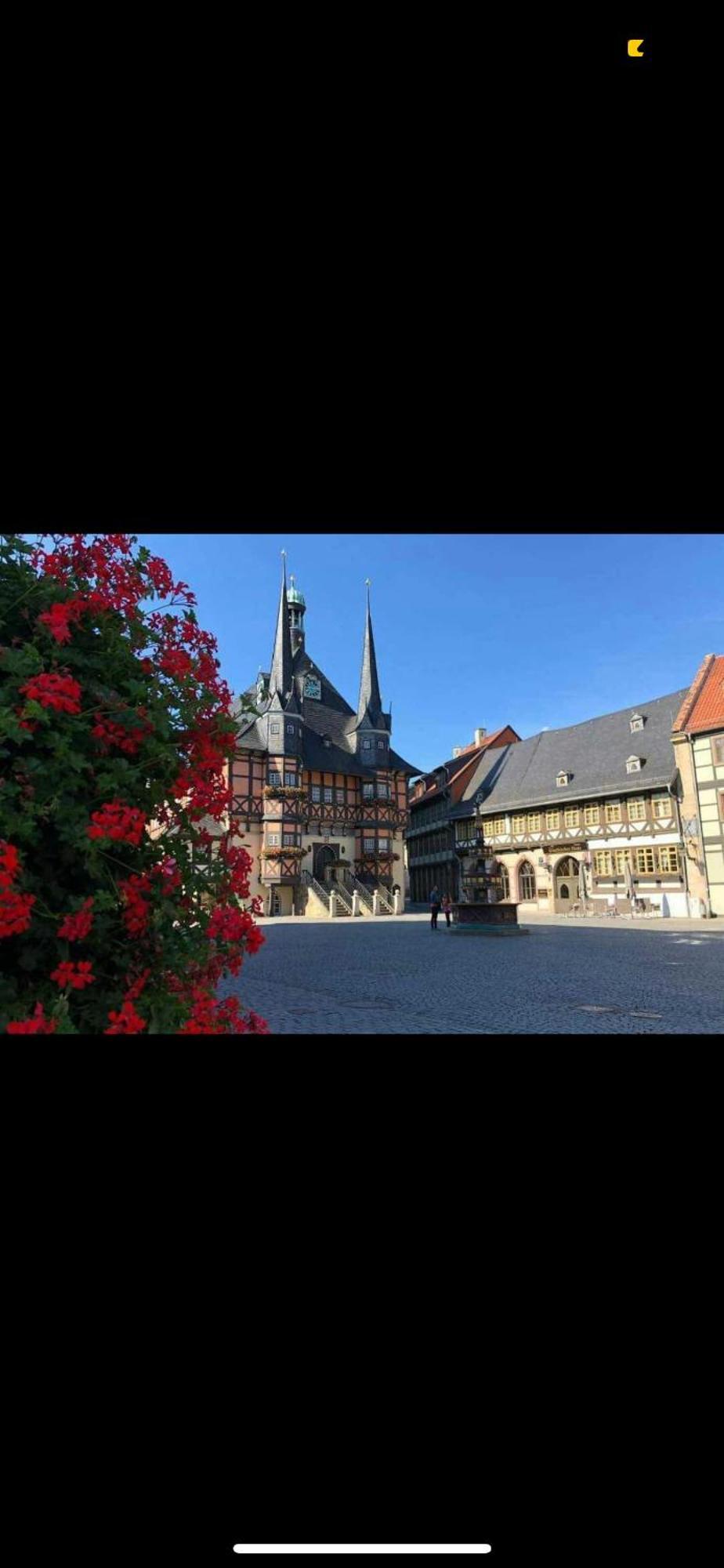 Ferienwohnung Im Harz Veckenstedt Buitenkant foto